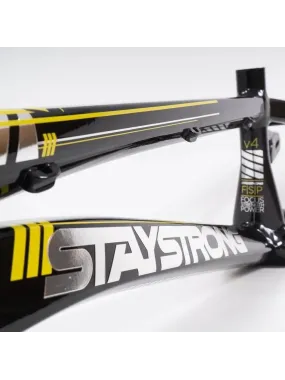 Stay Strong 2023 For Life V4 Disc Frame Black